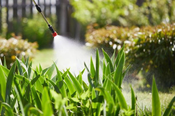 Tamper-Resistant Bait Stations for Rodents in Sublette
