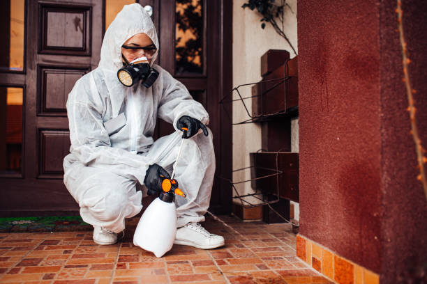 Attic and Crawl Space Rodent Treatment in Sublette
