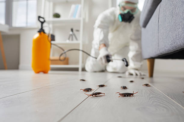 Commercial Rodent Management in Sublette